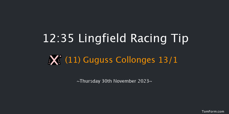 Lingfield 12:35 Handicap Chase (Class 5) 24f Sat 25th Nov 2023