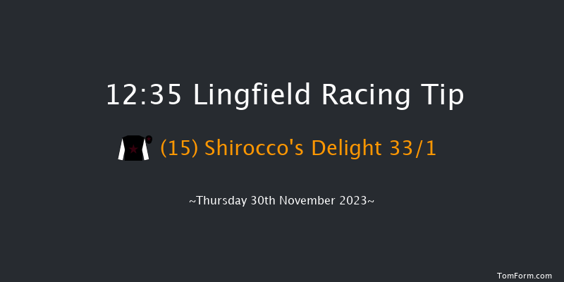 Lingfield 12:35 Handicap Chase (Class 5) 24f Sat 25th Nov 2023
