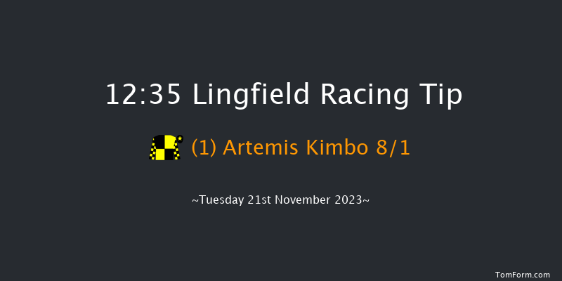 Lingfield 12:35 Handicap Chase (Class 4) 20f Sat 18th Nov 2023