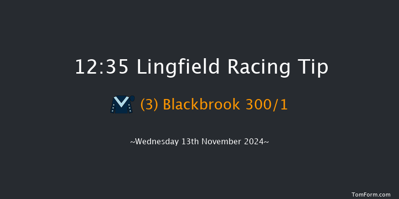 Lingfield  12:35 Stakes (Class 5) 8f  Tue 12th Nov 2024