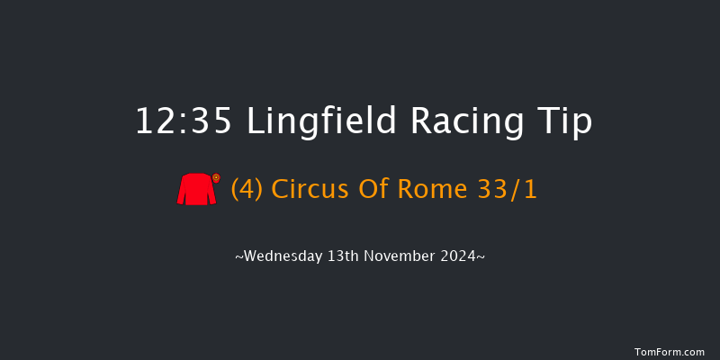 Lingfield  12:35 Stakes (Class 5) 8f  Tue 12th Nov 2024