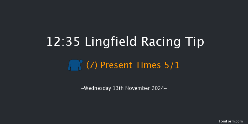 Lingfield  12:35 Stakes (Class 5) 8f  Tue 12th Nov 2024