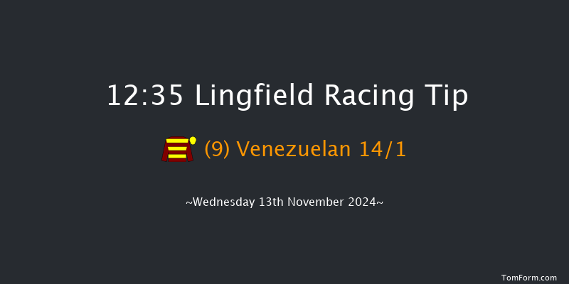 Lingfield  12:35 Stakes (Class 5) 8f  Tue 12th Nov 2024