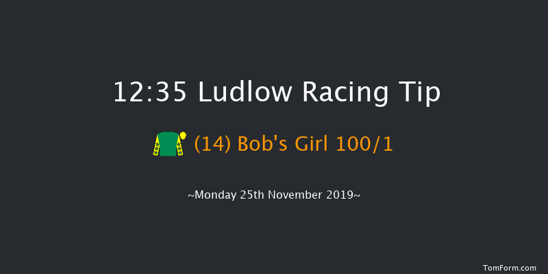 Ludlow 12:35 Maiden Hurdle (Class 4) 16f Thu 14th Nov 2019