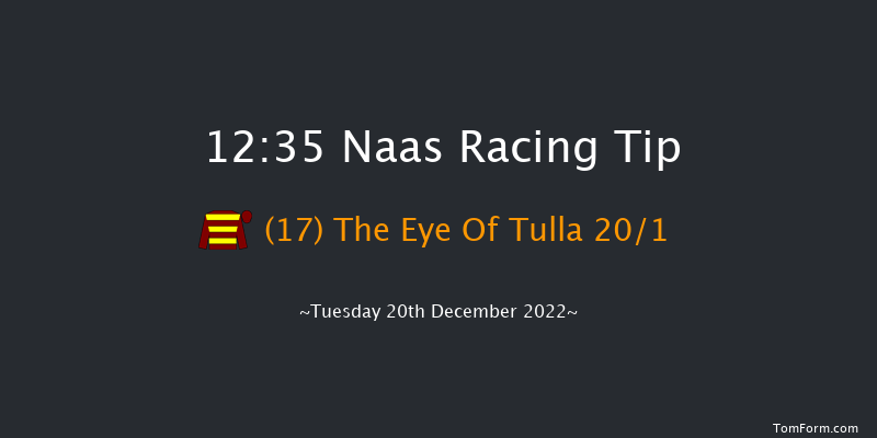 Naas 12:35 Handicap Chase 16f Sat 12th Nov 2022
