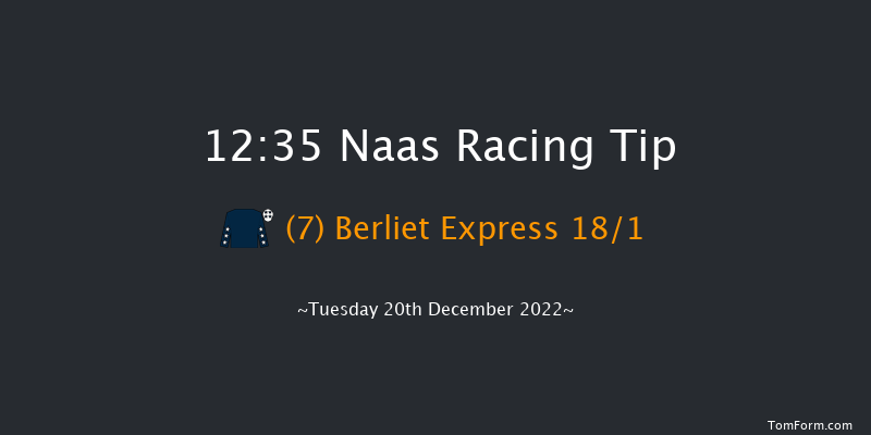 Naas 12:35 Handicap Chase 16f Sat 12th Nov 2022