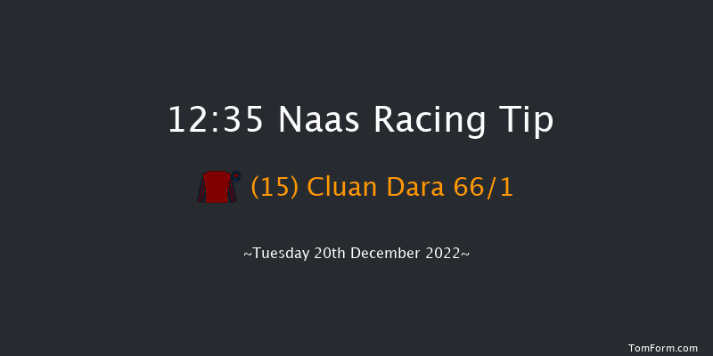 Naas 12:35 Handicap Chase 16f Sat 12th Nov 2022