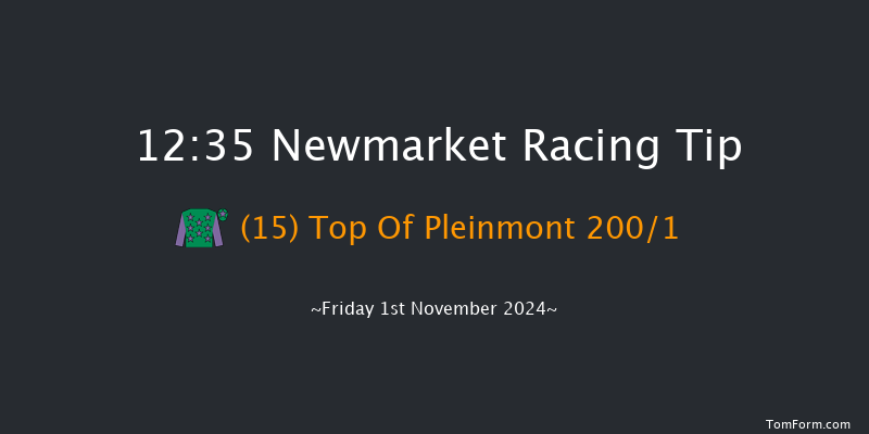 Newmarket  12:35 Stakes (Class 4) 7f Wed 23rd Oct 2024