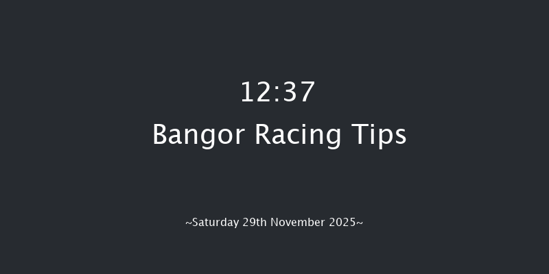 Bangor 12:37 (Class 3) 24f Wed 12th Nov 2025