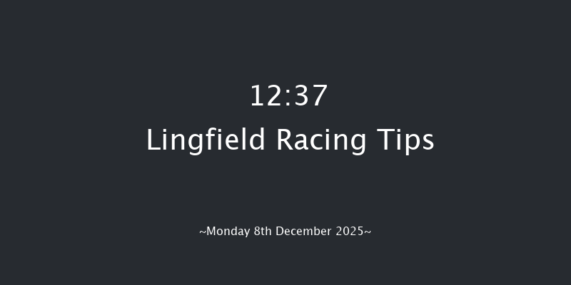 Lingfield 12:37 (Class 5) 15f Wed 3rd Dec 2025