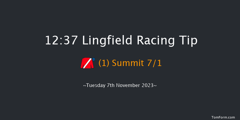 Lingfield 12:37 Handicap (Class 5) 8f Sun 5th Nov 2023