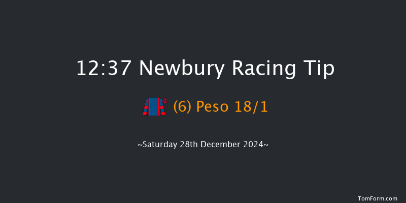 Newbury  12:37 Conditions Hurdle (Class 3) 16f Wed 18th Dec 2024