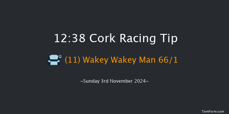 Cork  12:38 Maiden Hurdle 16f Sun 13th Oct 2024