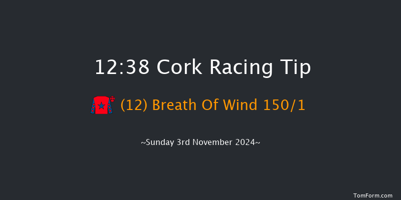 Cork  12:38 Maiden Hurdle 16f Sun 13th Oct 2024