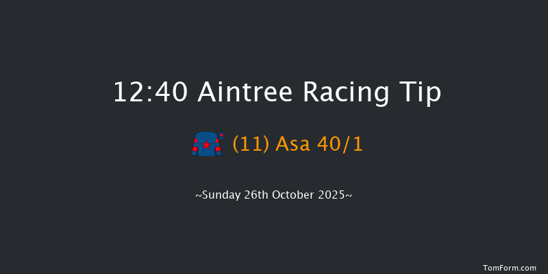 Aintree 12:40 (Class 3) 24f Fri 16th May 2025