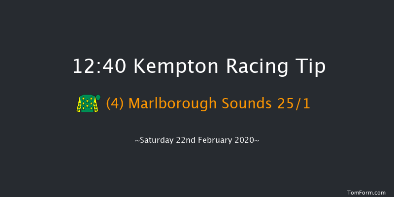 Betway Handicap Hurdle Kempton 12:40 Handicap Hurdle (Class 3) 21f Wed 19th Feb 2020