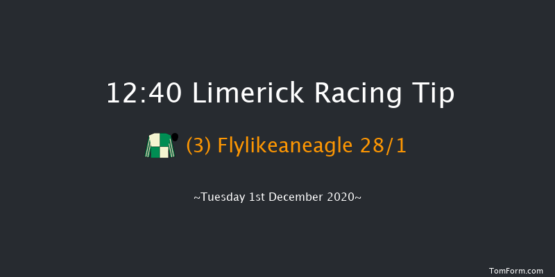 LimerickRaces.ie 3-Y-O Maiden Hurdle Limerick 12:40 Maiden Hurdle 16f Tue 17th Nov 2020