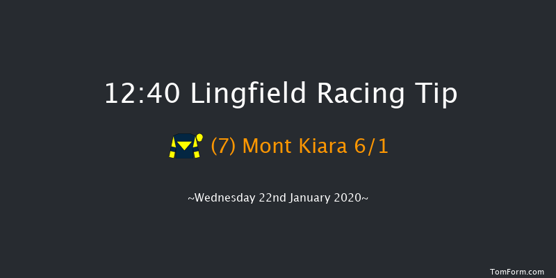 Lingfield 12:40 Handicap (Class 6) 7f Sat 18th Jan 2020