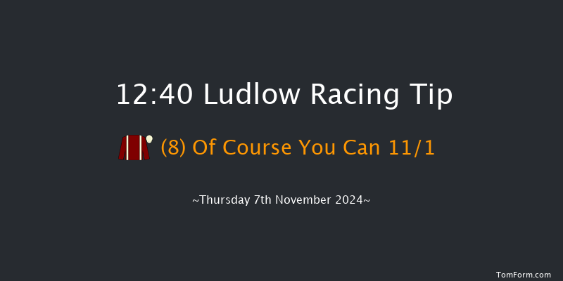 Ludlow  12:40 Handicap Hurdle (Class 4) 21f Thu 24th Oct 2024