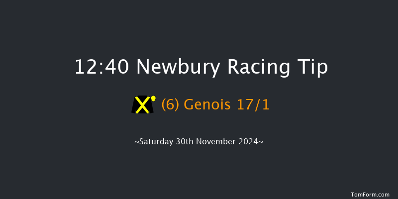 Newbury  12:40 Handicap Chase (Class 2) 22f Fri 29th Nov 2024