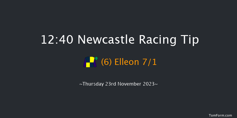Newcastle 12:40 Handicap Chase (Class 5) 23f Sun 19th Nov 2023