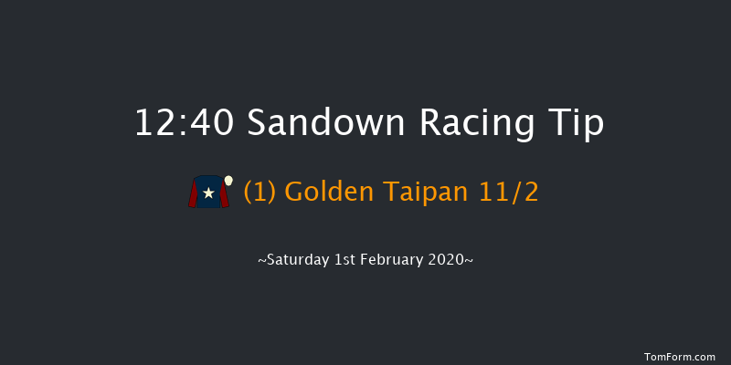 Sandown 12:40 Maiden Hurdle (Class 3) 16f Sat 4th Jan 2020