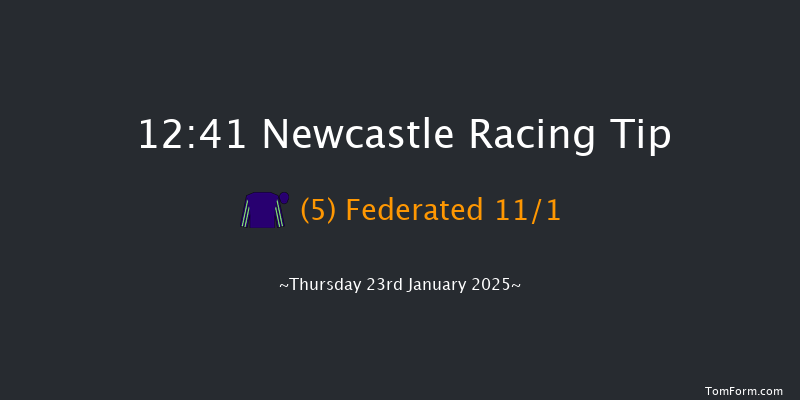 Newcastle  12:41 Handicap (Class 5) 12f Tue 21st Jan 2025