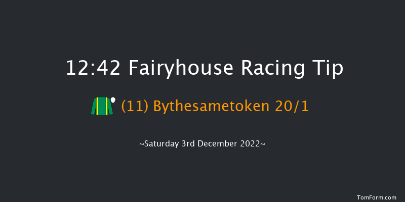 Fairyhouse 12:42 Handicap Chase 17f Tue 15th Nov 2022