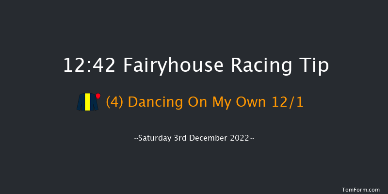 Fairyhouse 12:42 Handicap Chase 17f Tue 15th Nov 2022