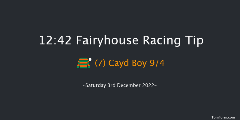 Fairyhouse 12:42 Handicap Chase 17f Tue 15th Nov 2022