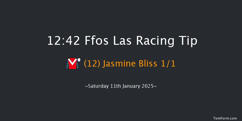 Ffos Las  12:42 Maiden Hurdle (Class 4) 20f Thu 19th Dec 2024