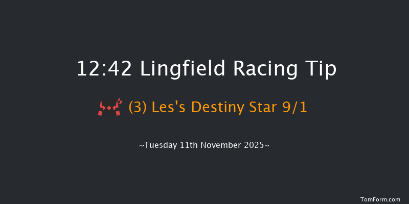 Lingfield 12:42 (Class 3) 19f Tue 4th Nov 2025