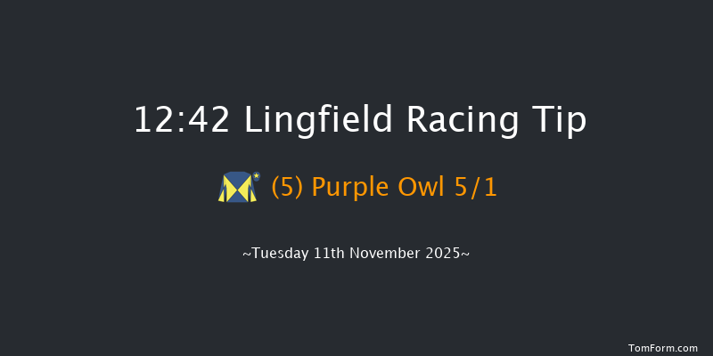 Lingfield 12:42 (Class 3) 19f Tue 4th Nov 2025