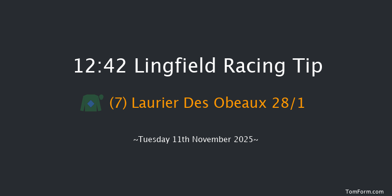 Lingfield 12:42 (Class 3) 19f Tue 4th Nov 2025