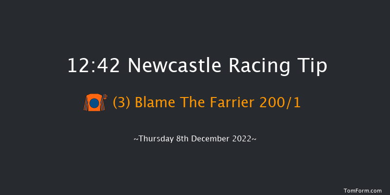 Newcastle 12:42 Maiden Hurdle (Class 4) 16f Fri 2nd Dec 2022
