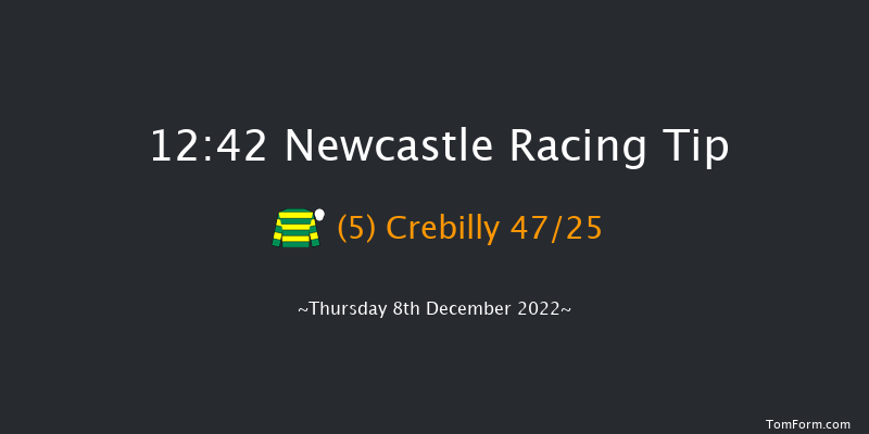 Newcastle 12:42 Maiden Hurdle (Class 4) 16f Fri 2nd Dec 2022