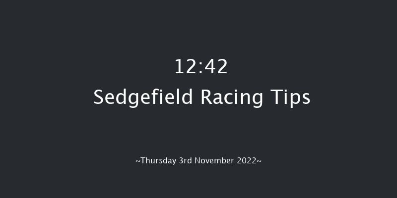 Sedgefield 12:42 Handicap Hurdle (Class 5) 17f Sun 16th Oct 2022