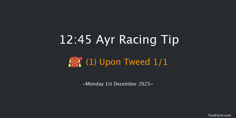 Ayr 12:45 (Class 4) 16f Wed 12th Nov 2025