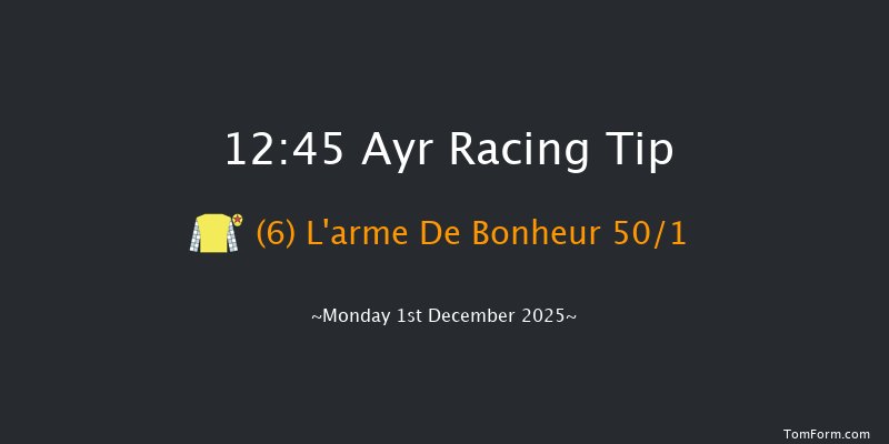 Ayr 12:45 (Class 4) 16f Wed 12th Nov 2025