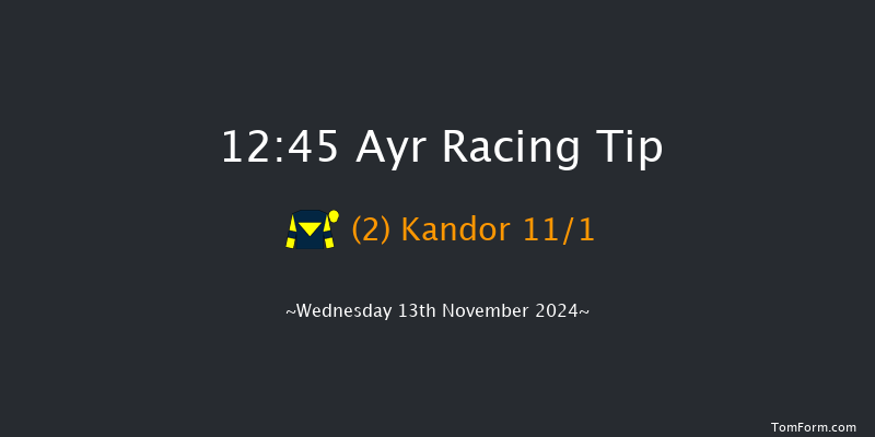 Ayr  12:45 Handicap Chase (Class 4) 20f Sat 2nd Nov 2024