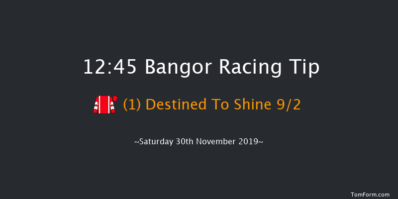 Bangor 12:45 Handicap Chase (Class 4) 17f Wed 13th Nov 2019