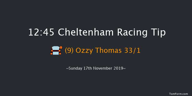 Cheltenham 12:45 Handicap Hurdle (Class 3) 21f Sat 16th Nov 2019
