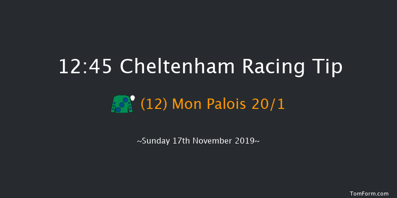 Cheltenham 12:45 Handicap Hurdle (Class 3) 21f Sat 16th Nov 2019