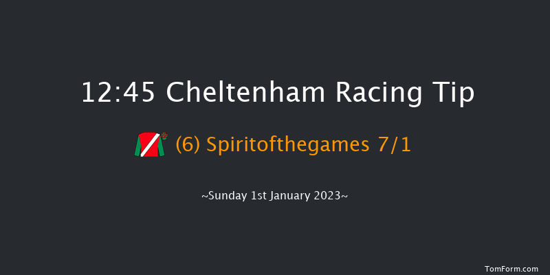 Cheltenham 12:45 Handicap Chase (Class 2) 26f Sun 13th Nov 2022