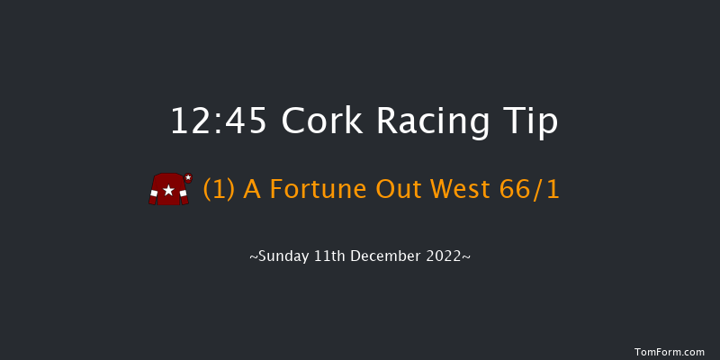 Cork 12:45 Maiden Hurdle 17f Sun 20th Nov 2022