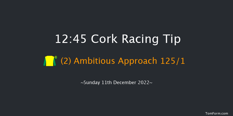 Cork 12:45 Maiden Hurdle 17f Sun 20th Nov 2022