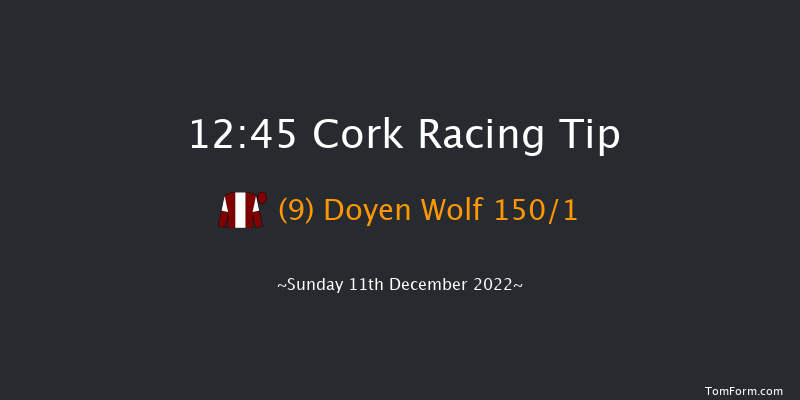 Cork 12:45 Maiden Hurdle 17f Sun 20th Nov 2022