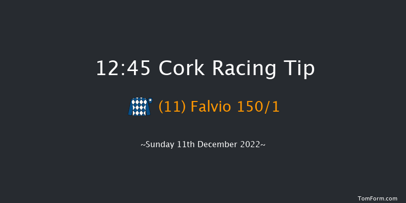 Cork 12:45 Maiden Hurdle 17f Sun 20th Nov 2022