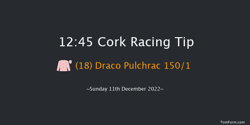 Cork 12:45 Maiden Hurdle 17f Sun 20th Nov 2022