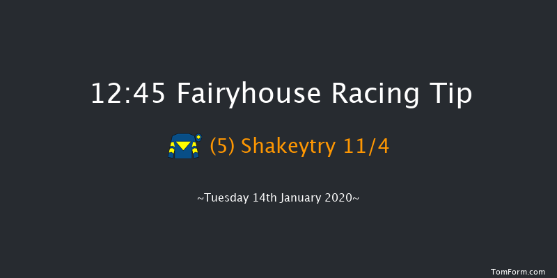 Fairyhouse 12:45 Beginners Chase 16f Sat 11th Jan 2020